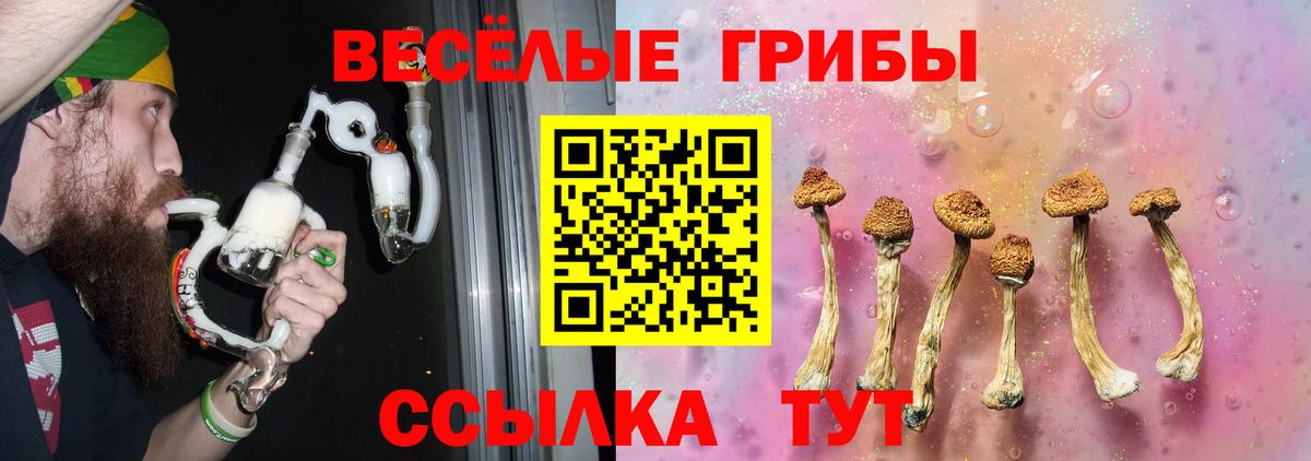 Галлюциногенные грибы Psilocybine cubensis  Вход с VPN  Мичуринск  Псилоцибиновые грибы Psilocybe 
